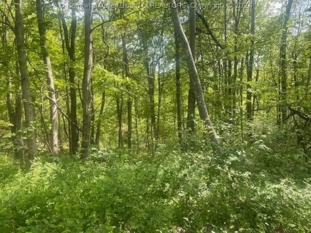 Picture 5