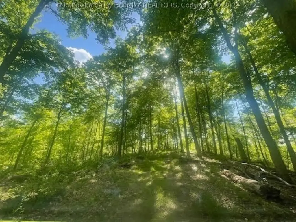 Picture 8