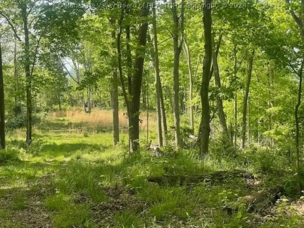 Picture 4