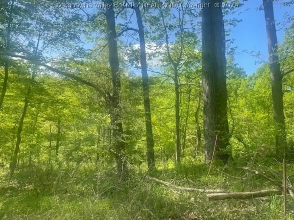 Picture 12