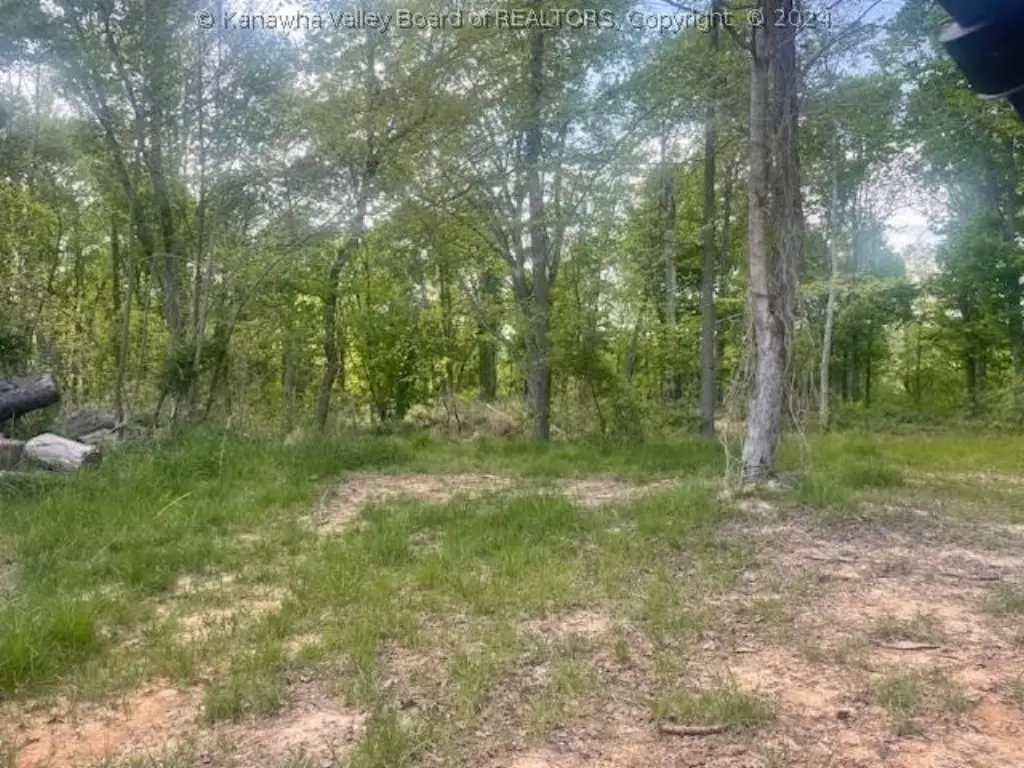 Picture 13