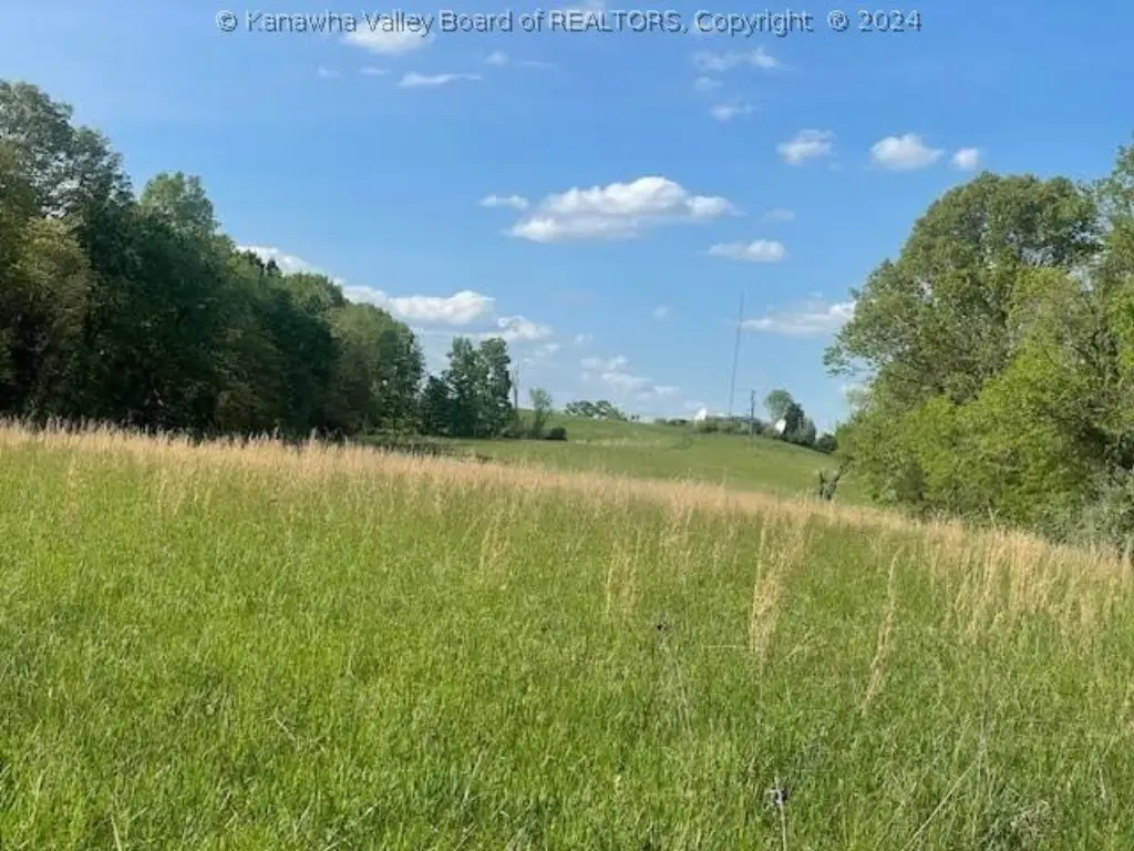 Picture 6
