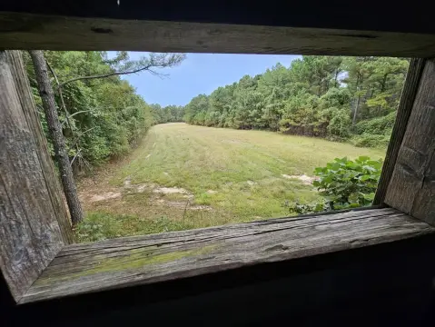 Versatile Land Near I-22 Corridor