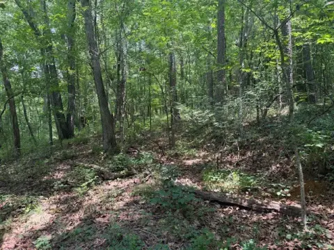 Fort Payne Vacant Land