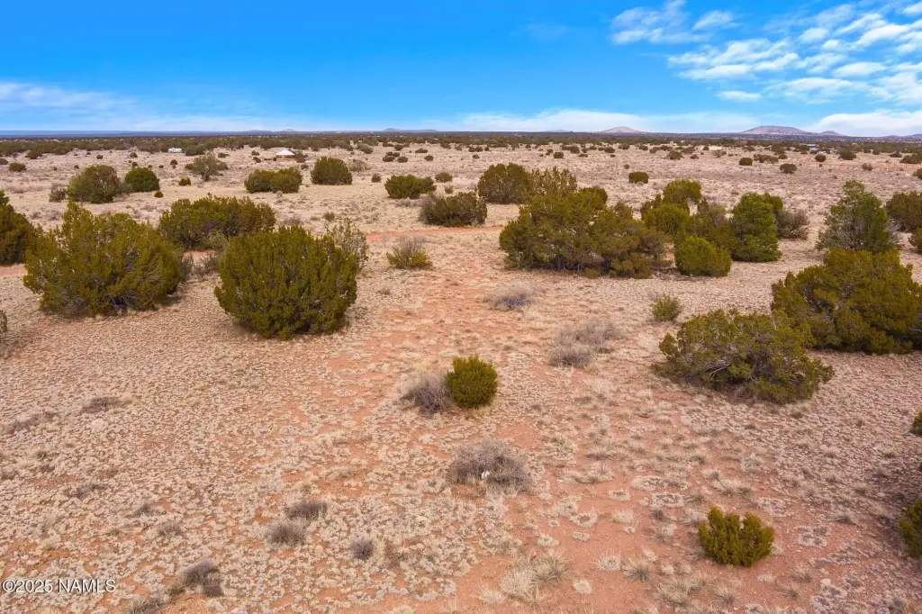 Picture 15