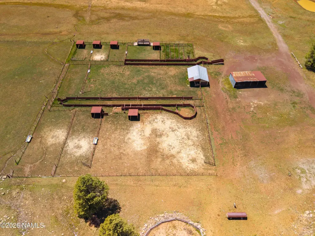 Picture 15