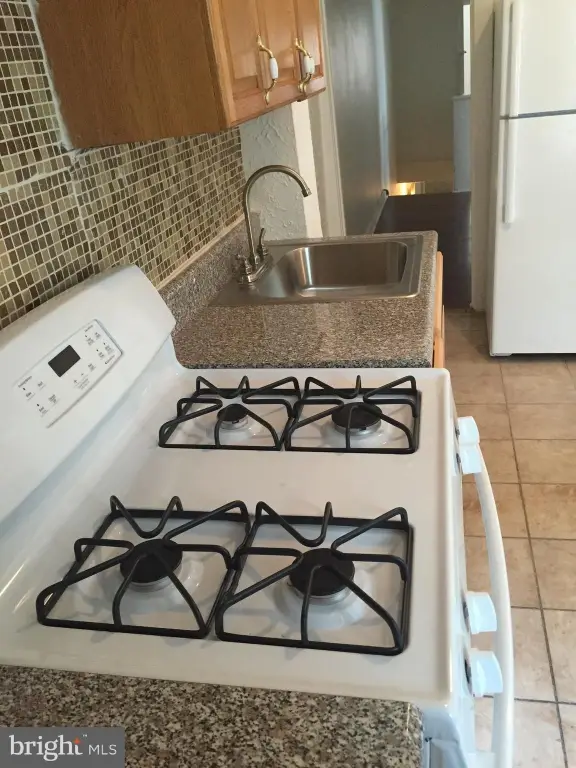 Picture 16