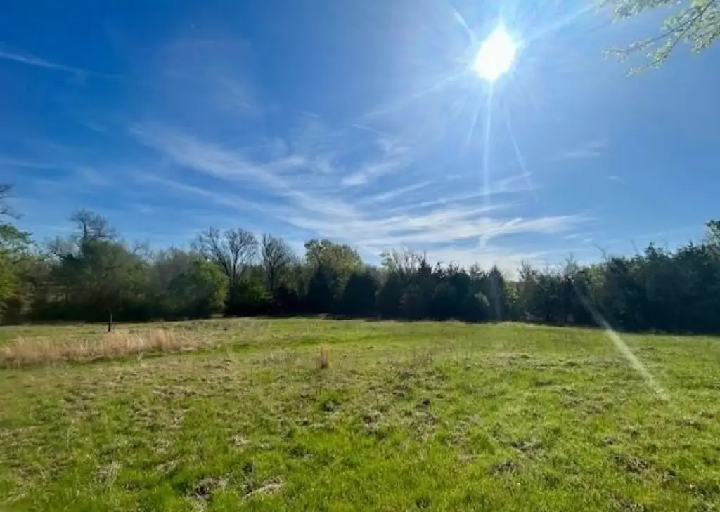 Picture 17