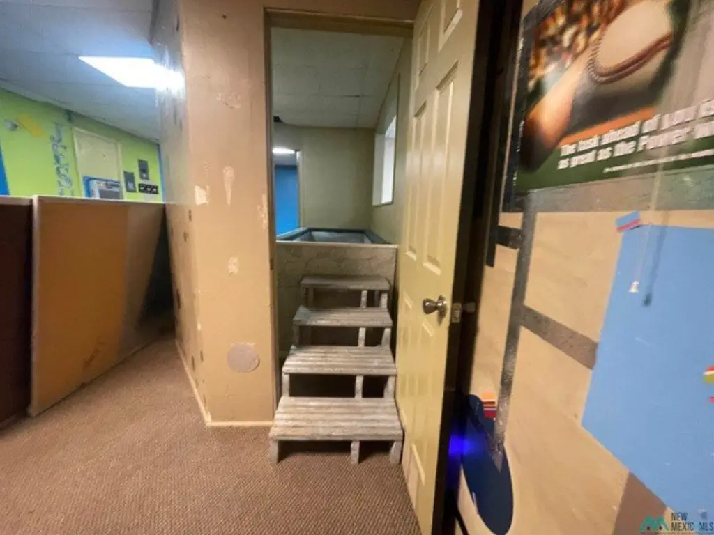 Picture 19
