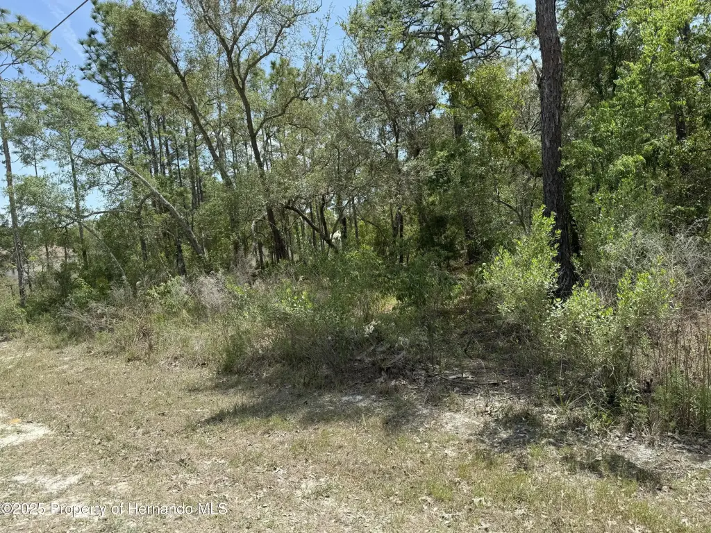 Picture 3