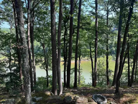 Lakefront Lot in Fairfield Bay