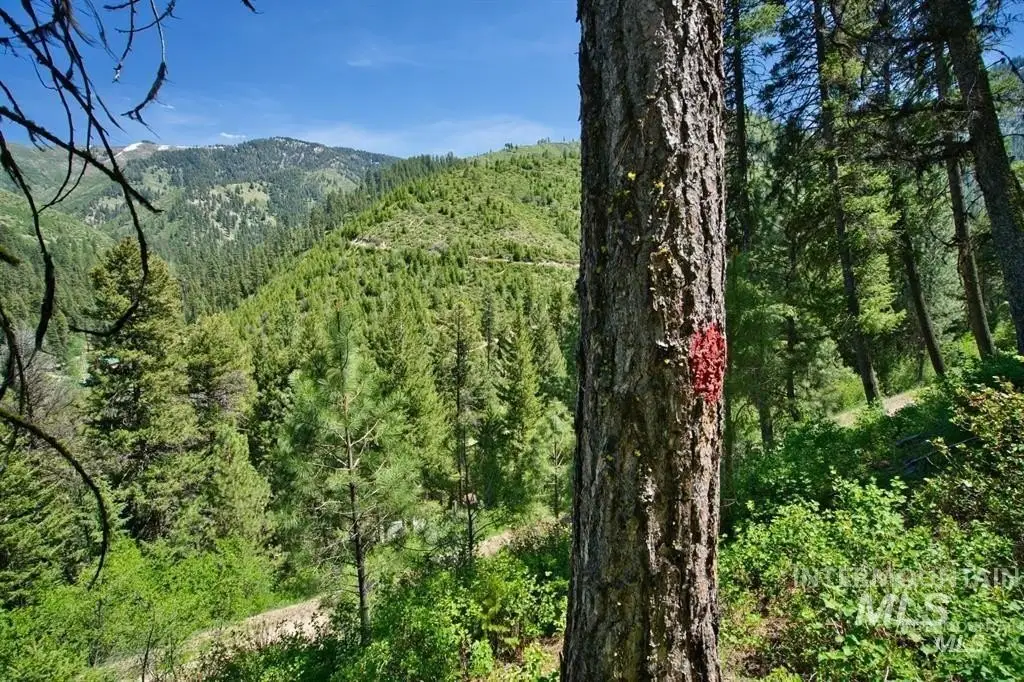 Picture 10