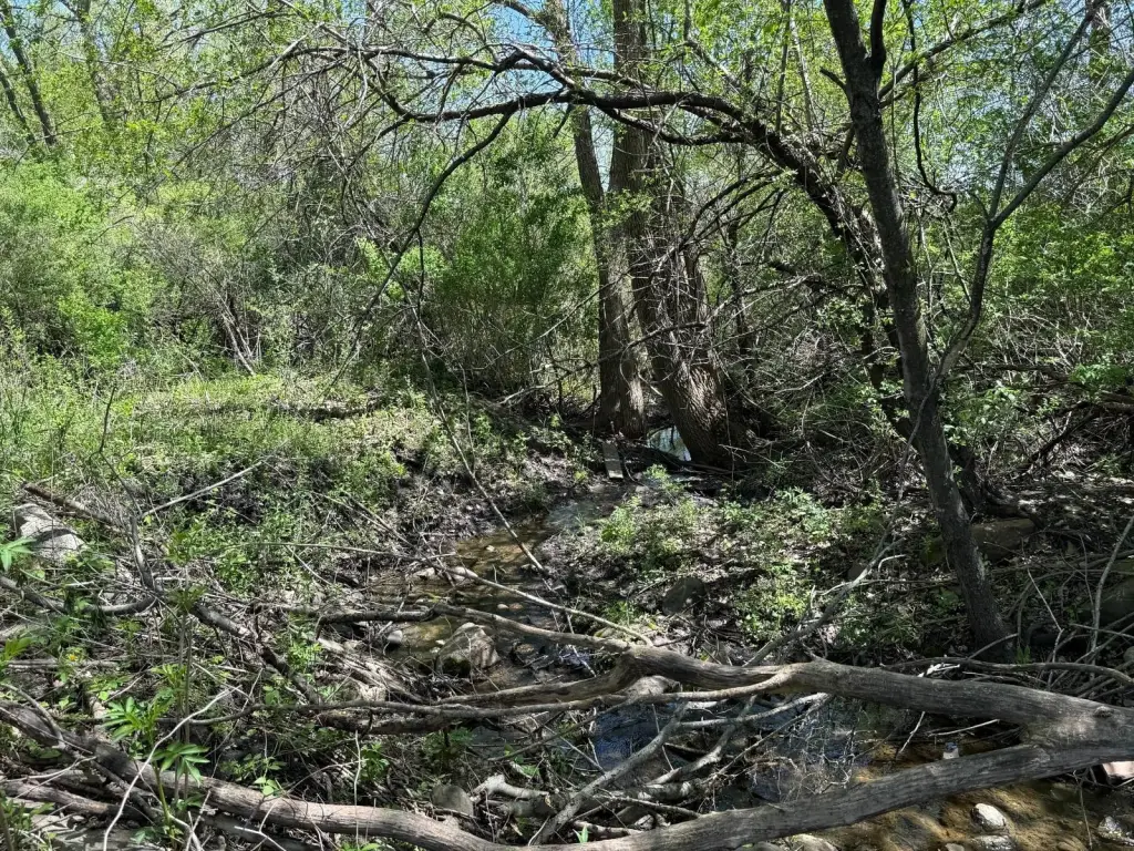 Picture 42