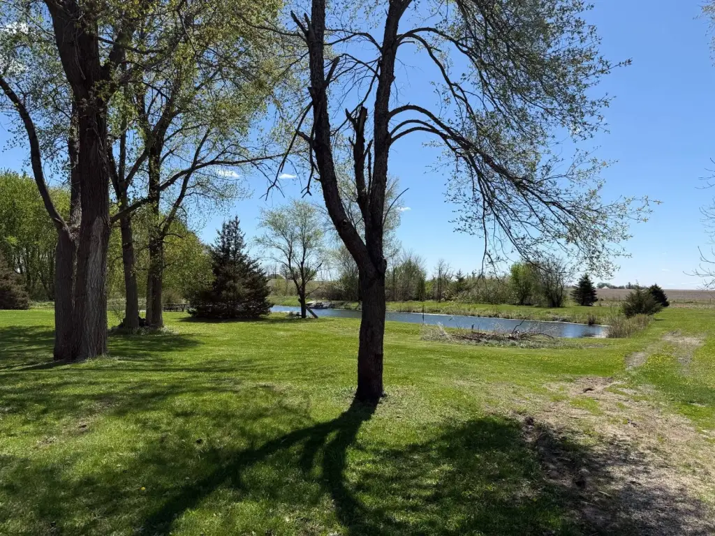 Picture 48