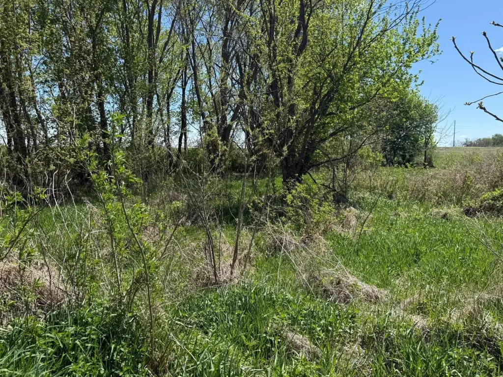 Picture 38