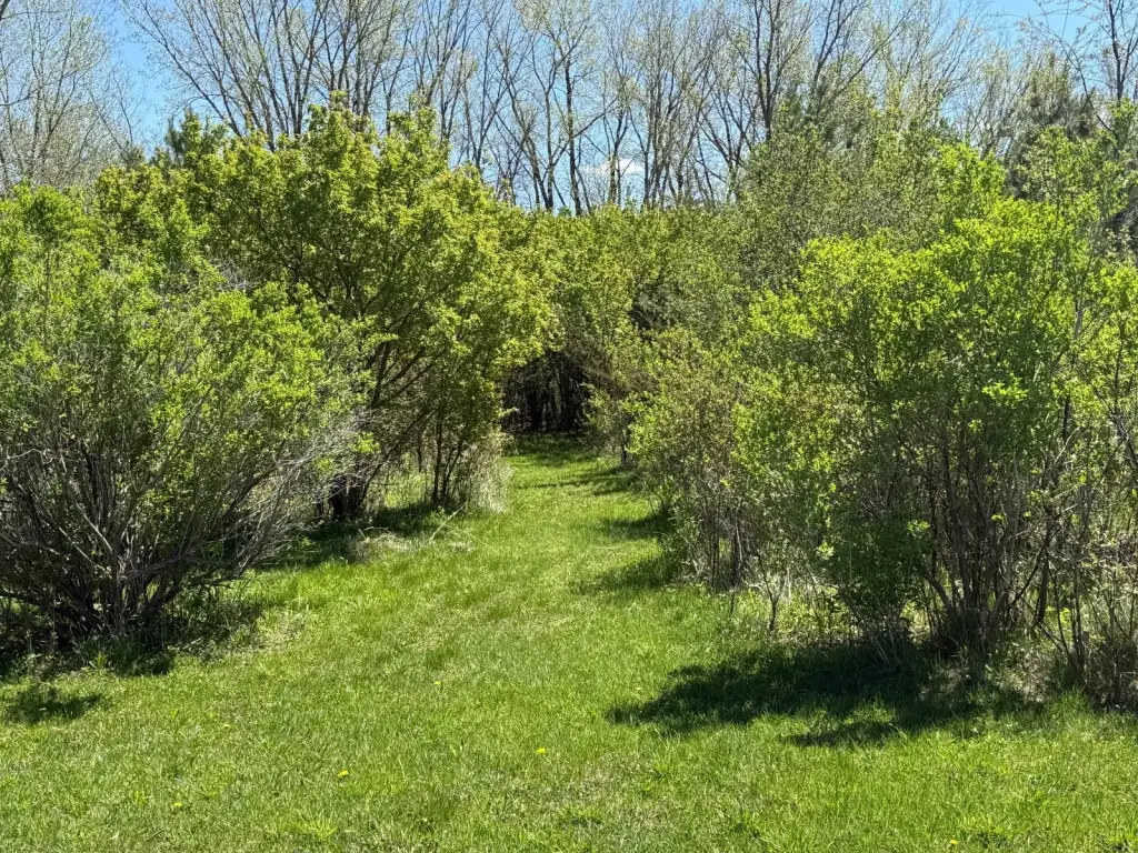 Picture 51