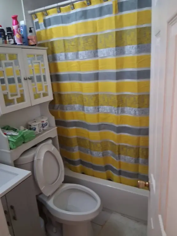 Picture 6