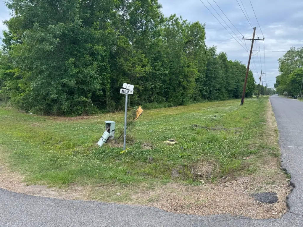 Picture 21