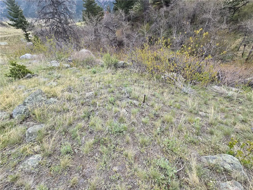 Picture 16