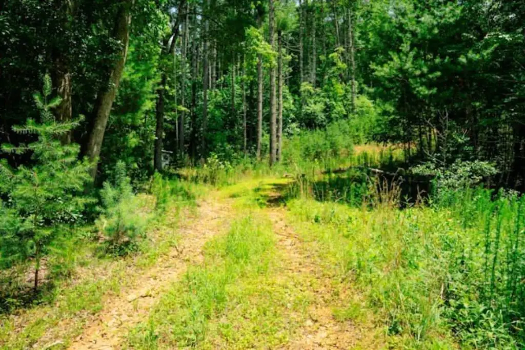 Picture 7