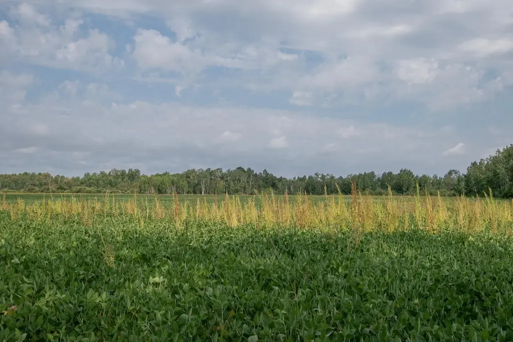 Picture 25