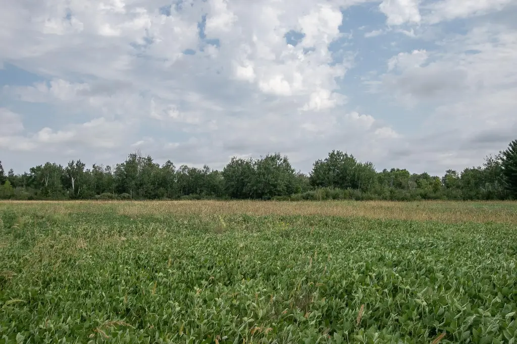 Picture 19