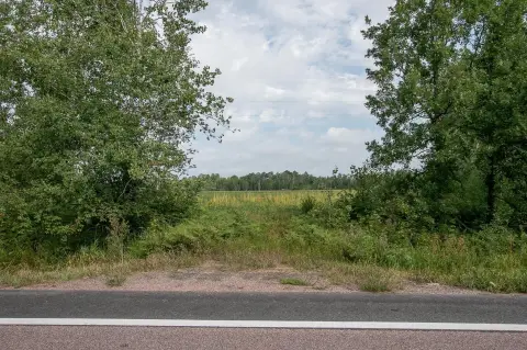 Open and Wooded Land Parcel