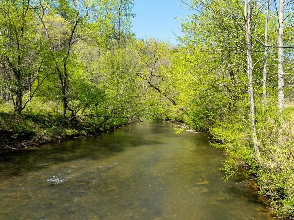 Picture 30