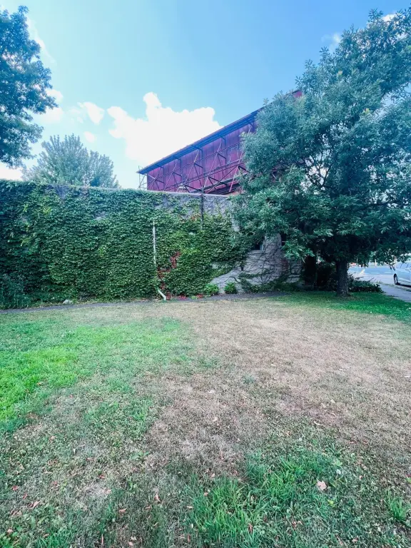 Picture 5