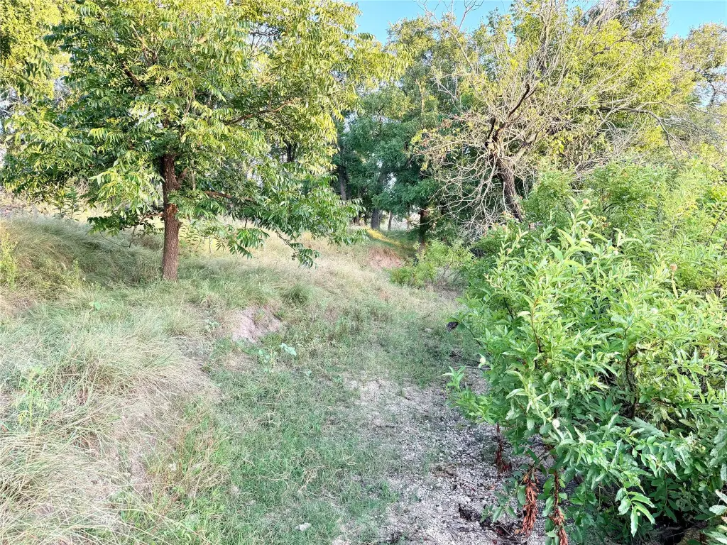 Picture 17