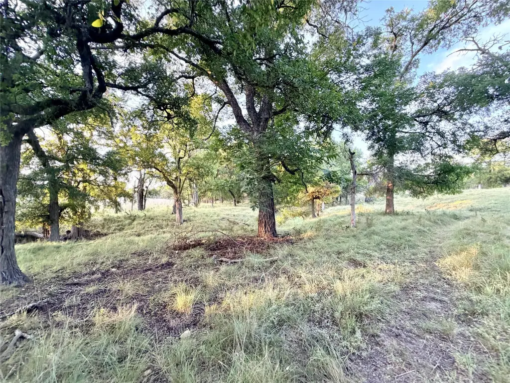 Picture 23