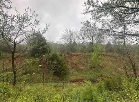 40 Acres Timbered Hunting Land