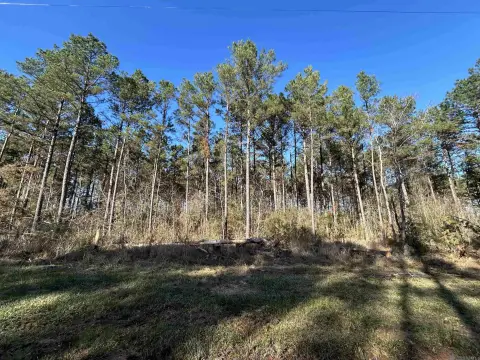 Residential Land in Livingston, Louisiana