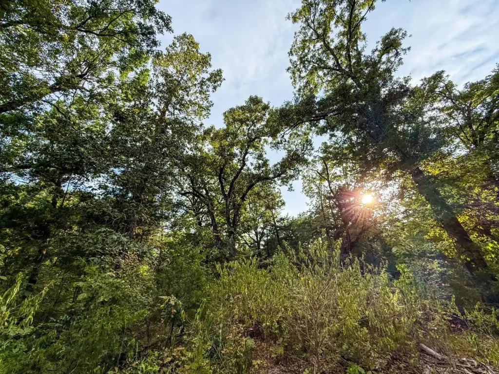 Picture 33