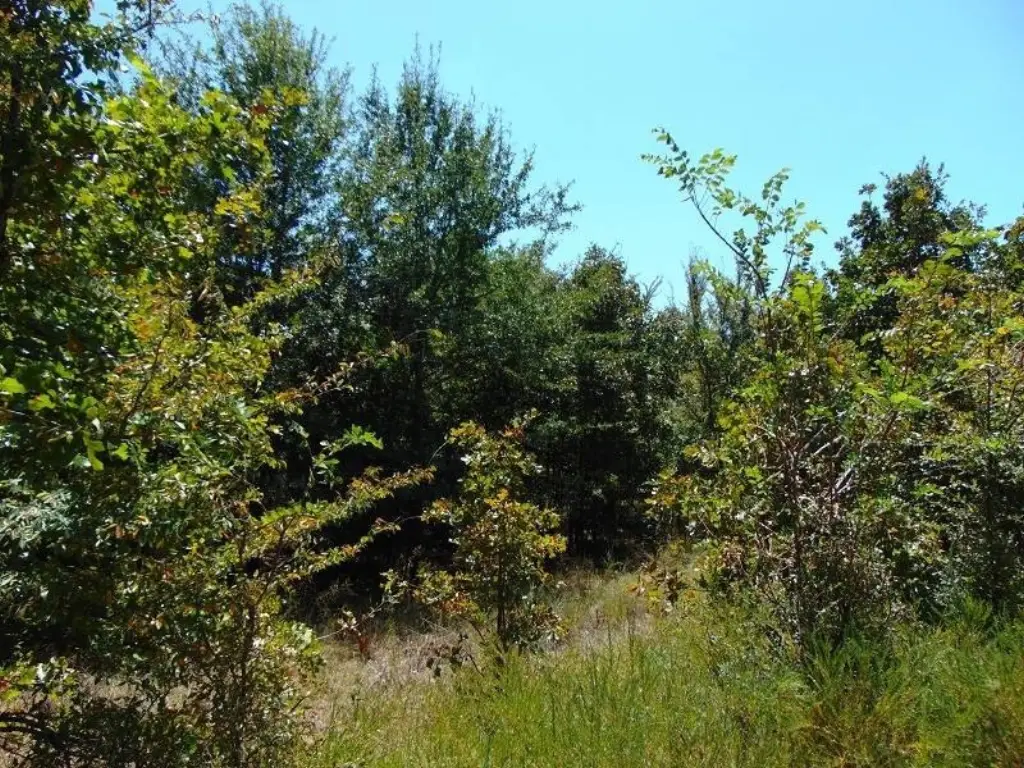 Picture 23