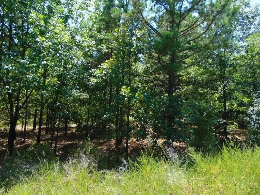 Picture 17