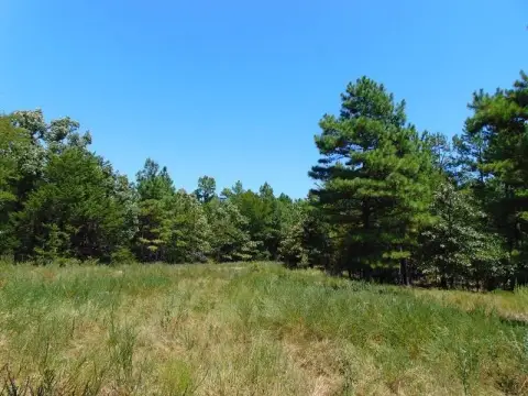 Wooded Hunting Land with Creek