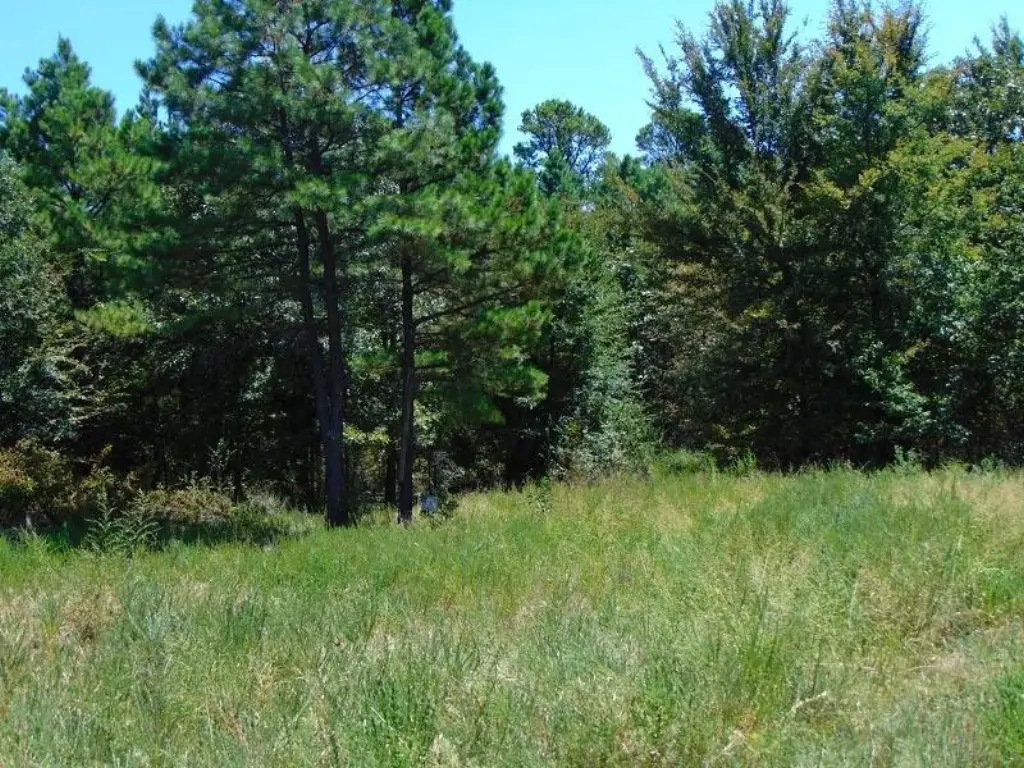 Picture 15