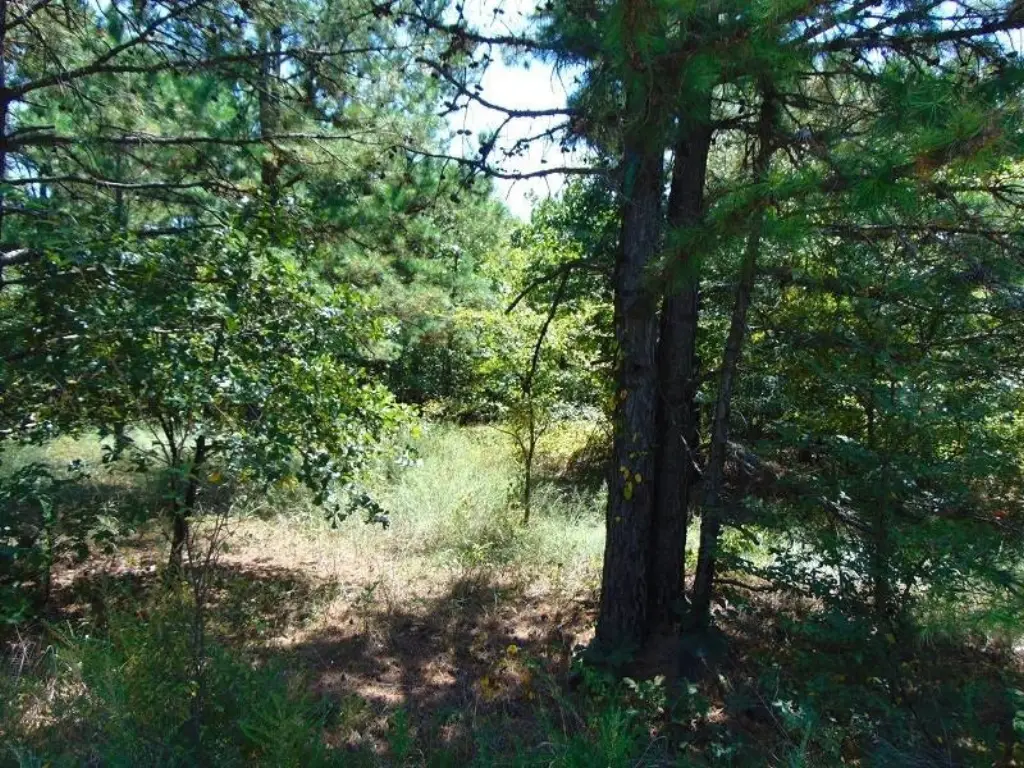 Picture 19