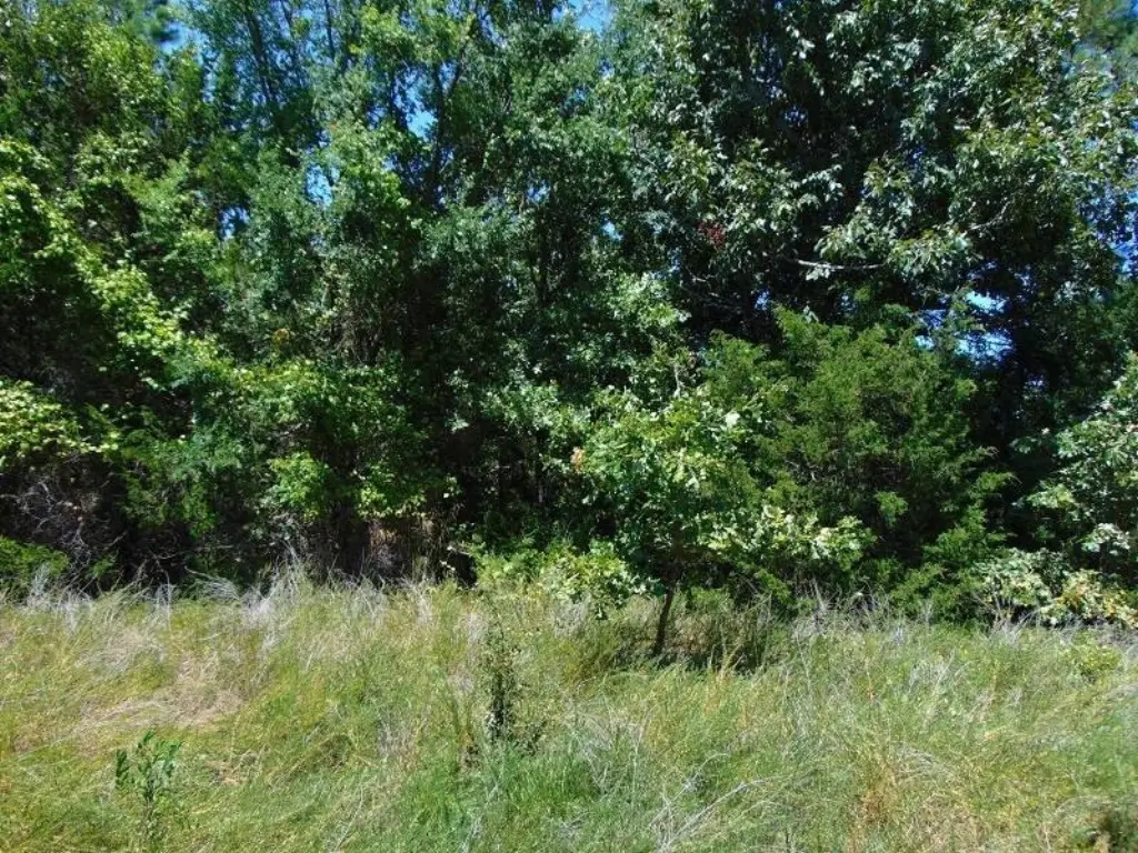 Picture 9
