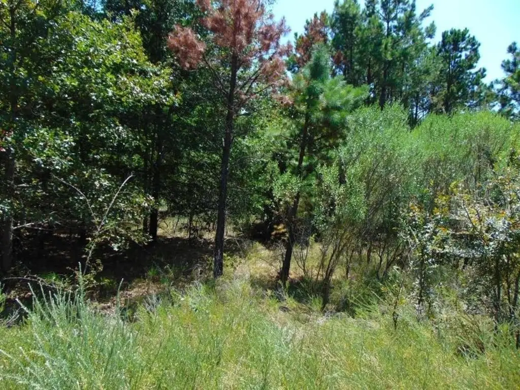 Picture 22