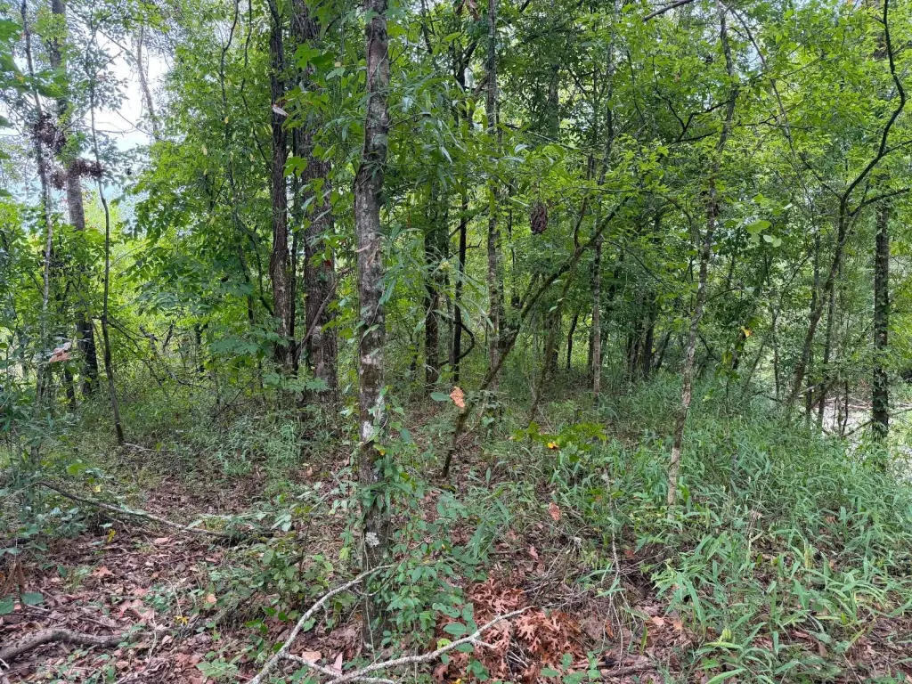 Picture 18
