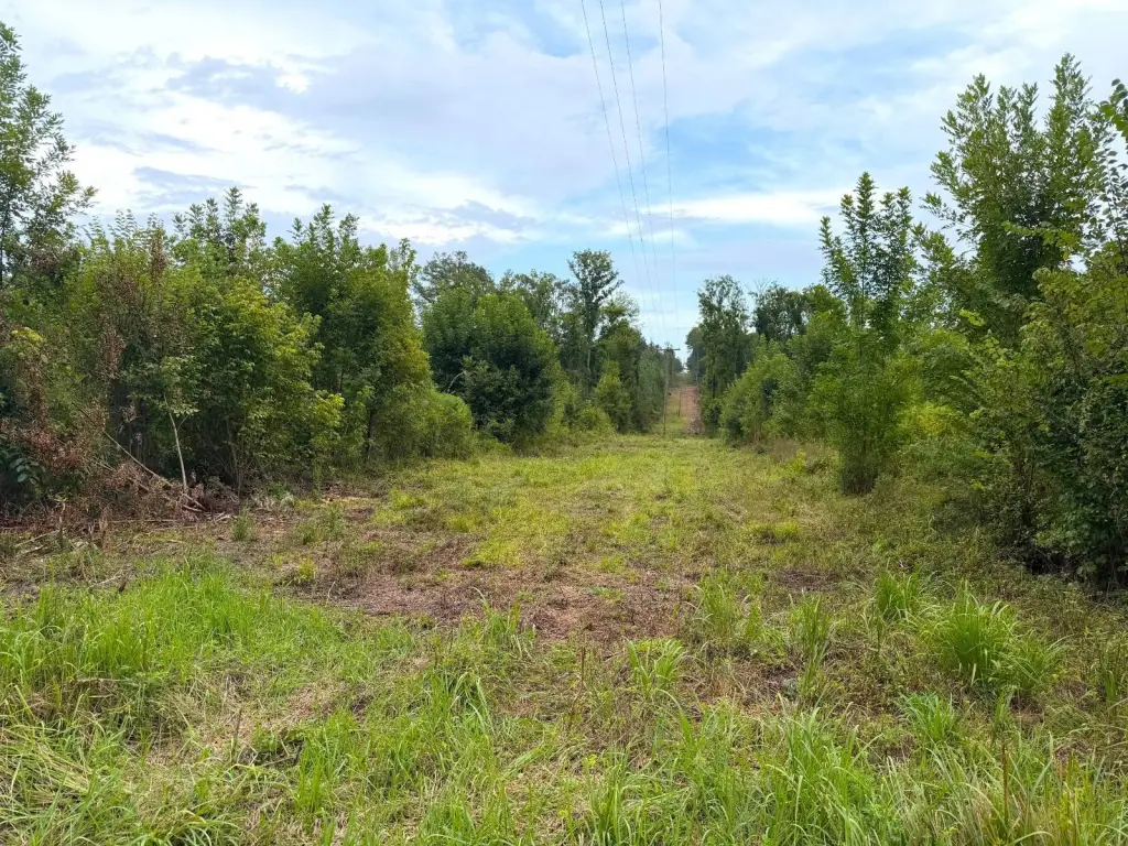 Picture 19