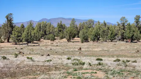 Bend, Oregon 30-Acre Property