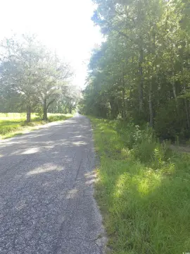 14 Acres in Georgetown County