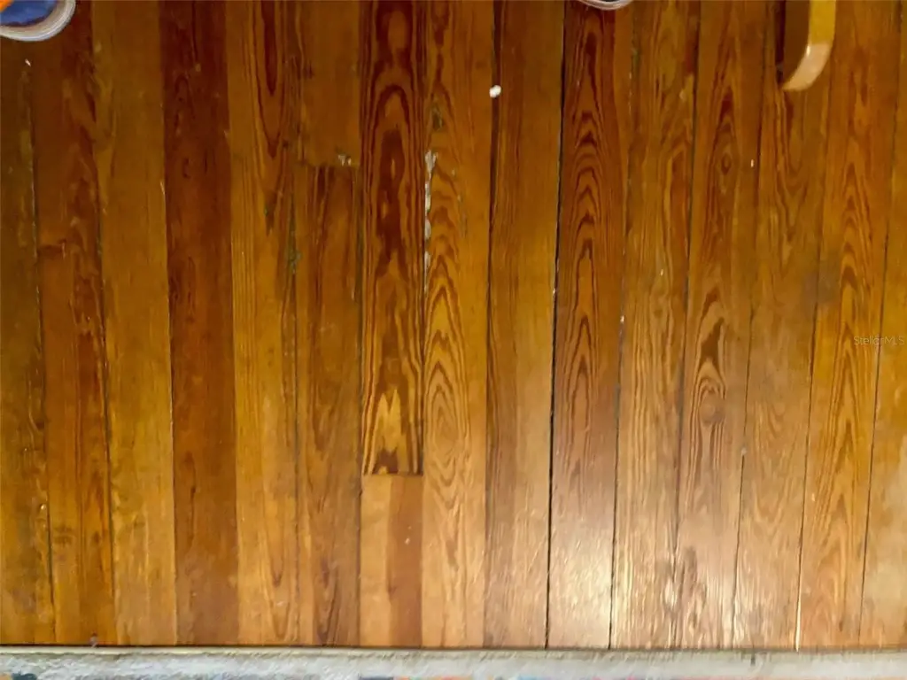 Picture 14