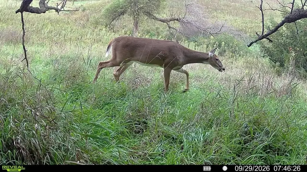 Picture 23