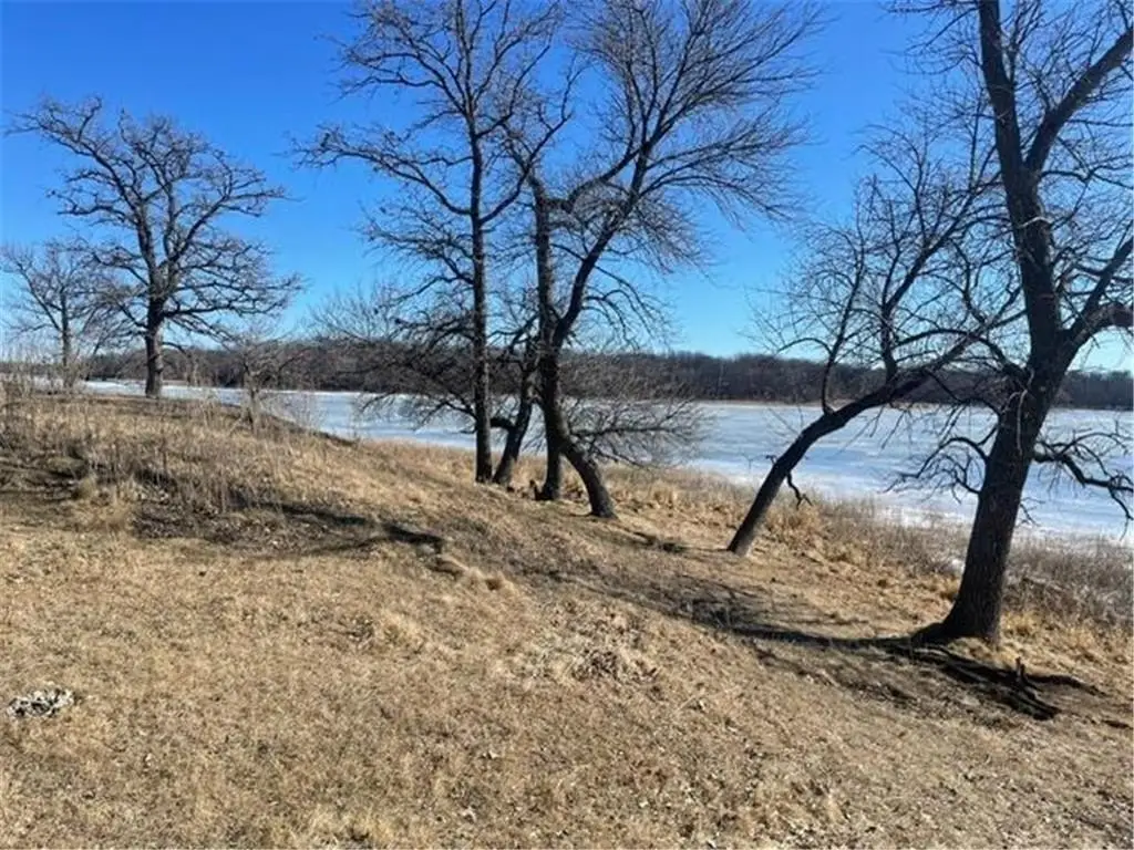 Picture 19