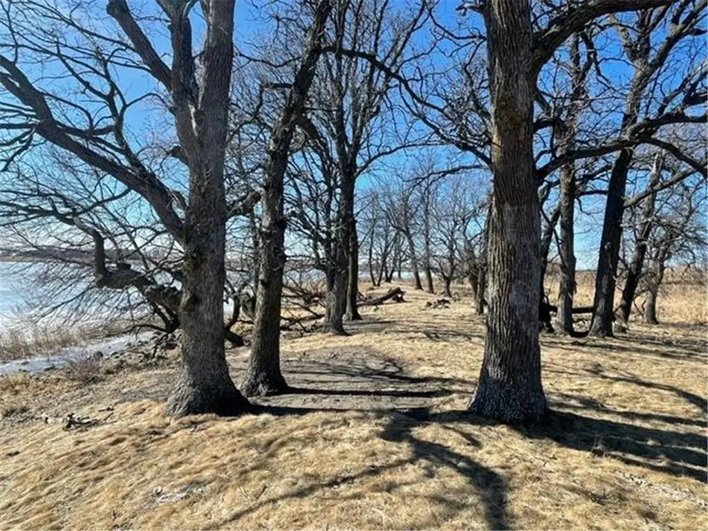 Picture 21