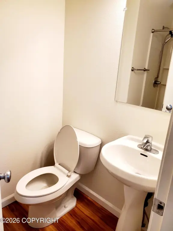 Picture 26